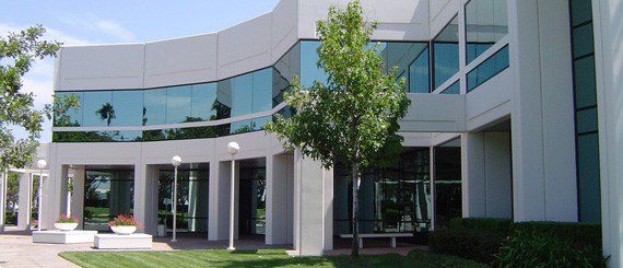 honey-hunting-in-parvat